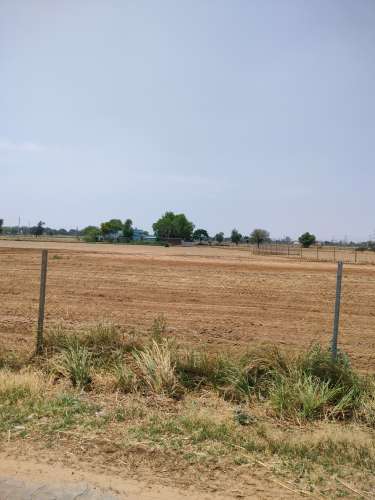 Agricultural Land for Sale