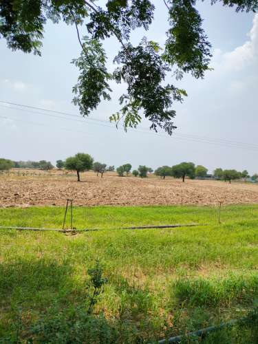 Agricultural Land for Sale