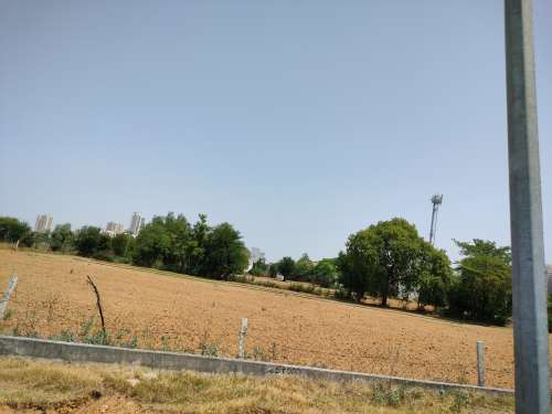 Agricultural Land for Sale