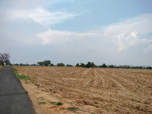 Agricultural Land for Sale