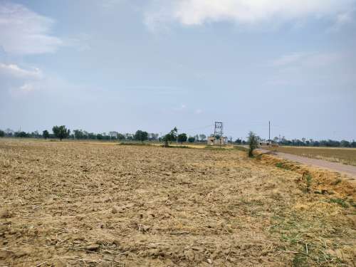 Agricultural Land for Sale