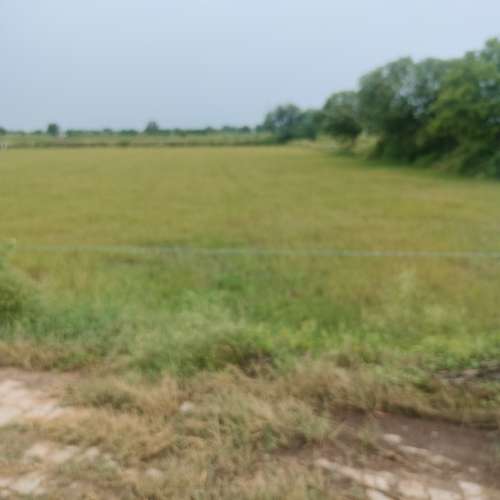 Agricultural Land for Sale