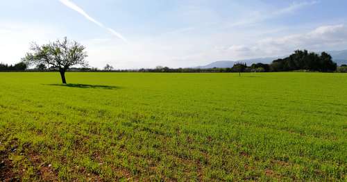 Agricultural Land for Sale