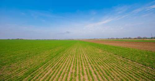 Agricultural Land for Sale in Gothra, Dahina, Rewari, Haryana